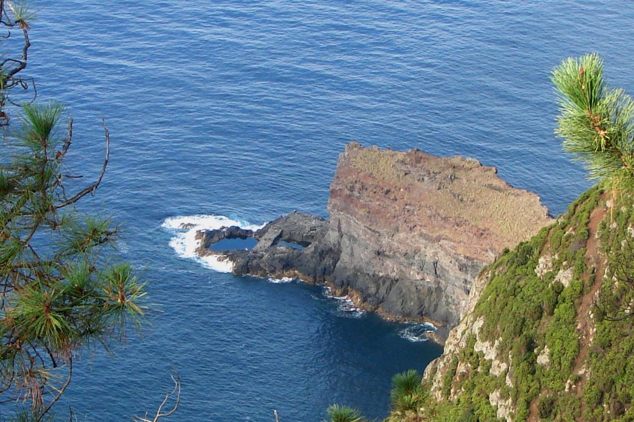 Casa do Til Santana (Madeira) Exterior foto